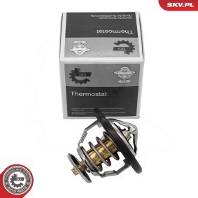 ESEN SKV 20SKV237 Termostat LEXUS GS (JZS147_)