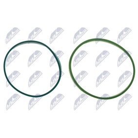 Compre Jogo de juntas, colector de admissão da NTY BKS-BM-027A a um preço baixo por 7,31&nbsp;&euro;