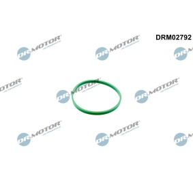 DR.MOTOR AUTOMOTIVE DRM02792 AUDI A3 Kaasuläppäkotelo