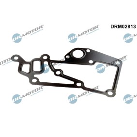DR.MOTOR AUTOMOTIVE DRM02813 Termostatpackning PEUGEOT 206 CC (2D)