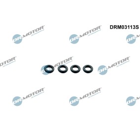 DR.MOTOR AUTOMOTIVE DRM03113S Junta de inyector MINI Paceman (R61) 1.6 116 cv Motor otto