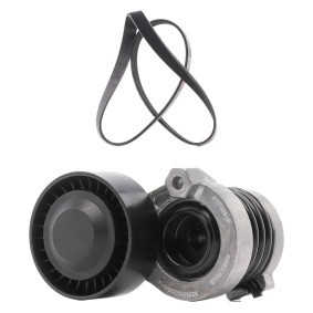 RIDEX PLUS 542R0810P Keilrippenriemensatz RENAULT Clio 4 Grandtour (KH_) 1.5 75 PS Diesel