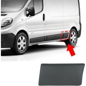 Comprar Listón embellecedor / protector, panel lateral de FINAO AUTOPARTS F713 a bajo precio de 65,79&nbsp;&euro;