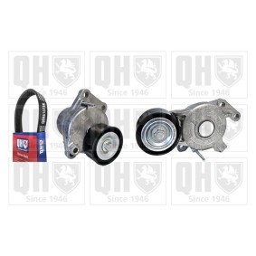 Compre Jogo de correias trapezoidais estriadas da QUINTON HAZELL QDK219 a um preço baixo por 141,63&nbsp;&euro;