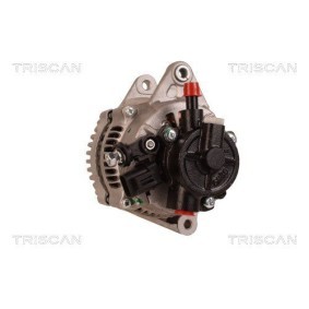 TRISCAN 8310 80001 Alternateur CHEVROLET Aveo / Kalos 3/5 portes (T250, T255) 1.2 72 CV Essence