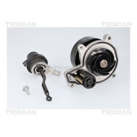 Compre Bomba de água da TRISCAN 8600 11070 a um preço baixo por 186,78&nbsp;&euro;
