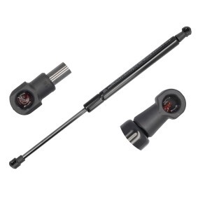 Köp Gasfjäder till baklucka av MEYLE 30-40 910 0038 till det låga priset 220,45&nbsp;kr