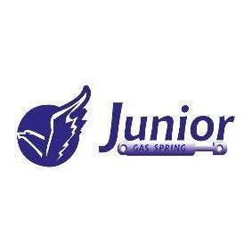 Kjøp Baklukedemper av JUNIOR GAS SPRING GH0396000224 til den lave prisen 692,55&nbsp;kr