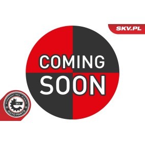 ESEN SKV 37SKV530 Pulsantiera alzacristalli NISSAN QASHQAI