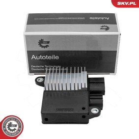 Acquista Centralina, Ventola elettr. (Raffreddamento motore) da ESEN SKV 94SKV810 a buon mercato per soli 30,18&nbsp;&euro;