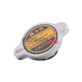 BOGAP T4211100 Ekspansjonstank MAZDA 6 Station Wagon (GY) 2.3 162 hk Bensinmotor