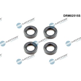DR.MOTOR AUTOMOTIVE DRM02515S Junta de tapa de valvulas MINI Hatchback (R50, R53) 1.6 90 cv Otto