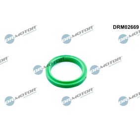DR.MOTOR AUTOMOTIVE DRM02669 Retentor, tubo do ar de sobrealimentação NISSAN NV400