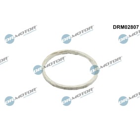 DR.MOTOR AUTOMOTIVE DRM02807 Guarnizione tubo gas scarico BMW 7 (G11, G12) 4.0 449 CV Motore a ciclo otto