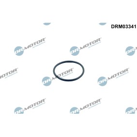 Acquista Guarnizione, Termostato da DR.MOTOR AUTOMOTIVE DRM03341 a buon mercato per soli 3,53&nbsp;&euro;