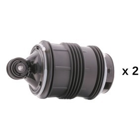 Osta Ilmajousi RIDEX:llä 4119A0184 edullisesti hintaan 357,29&nbsp;&euro;