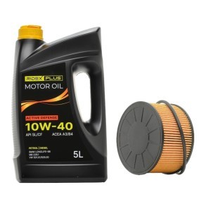 RIDEX PLUS 100374T0289P Kit de filtres RENAULT Scénic IV (J95)