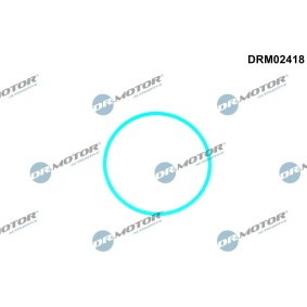 Dichtung, Kraftstoffpumpe DRM02418 VOLVO V40 Kombi von DR.MOTOR AUTOMOTIVE