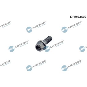 DR.MOTOR AUTOMOTIVE DRM03402 Radschrauben und Radmuttern RENAULT THALIA 2 (LU1/2) 1.5 64 PS Diesel
