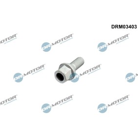 DR.MOTOR AUTOMOTIVE DRM03403 Radschrauben und Radmuttern RENAULT THALIA 2 (LU1/2) 1.5 64 PS Diesel