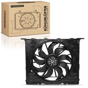 Compre Ventilador de radiador da Frankberg 5481FB0043418 a um preço baixo por 521,56&nbsp;&euro;