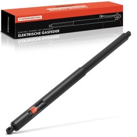 Frankberg 5481FB0048070 Pistoncini portellone OPEL INSIGNIA Sports Tourer