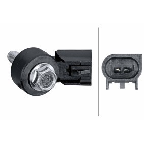 Compre Sensor de detonação da HELLA 6PG 013 114-501 a um preço baixo por 20,16&nbsp;&euro;