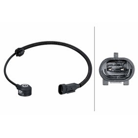 Klopfsensor 6PG 013 114-551 HYUNDAI KONA von HELLA