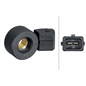 Klopfsensor 6PG 013 114-571 JEEP WRANGLER von HELLA