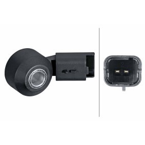 HELLA 6PG 013 114-751 Sensor de detonação OPEL MOKKA