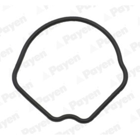 Acquista Guarnizione, Alloggiam. termostato da PAYEN KC0012 a buon mercato per soli 15,82&nbsp;&euro;