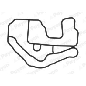 AGR-Ventil-Dichtung KE0003 VOLVO C30 von PAYEN