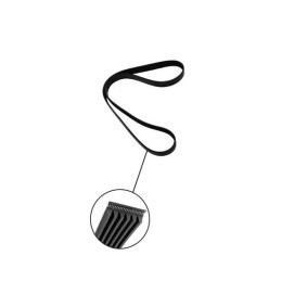 TRUCKTEC AUTOMOTIVE 07.19.367 Correia do alternador NISSAN Qashqai 2 (J11, J11_)