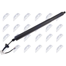 NTY AE-RE-079 Bagklapsdæmper RENAULT AUSTRAL