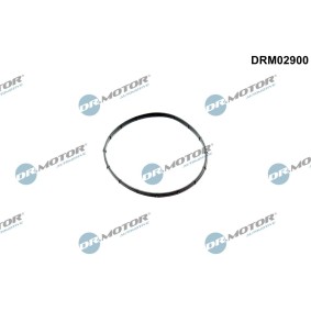 DR.MOTOR AUTOMOTIVE DRM02900 Unterdruckpumpe CITROËN BERLINGO (B9)
