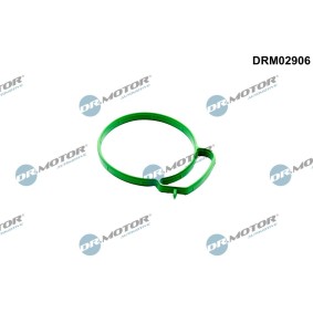 DR.MOTOR AUTOMOTIVE DRM02906 Gasspjæld FORD FOCUS