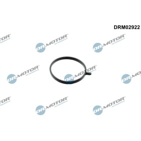 DR.MOTOR AUTOMOTIVE DRM02922 Retentor, tubo do ar de sobrealimentação NISSAN NV400