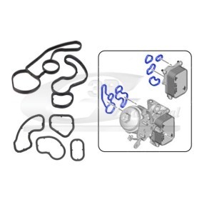 3RG 76205 Guarnizione radiatore olio FORD FOCUS
