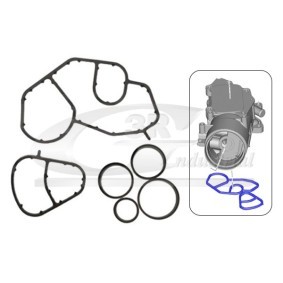 3RG 86215LD Guarnizione radiatore olio FORD FUSION