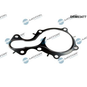 DR.MOTOR AUTOMOTIVE DRM03477 Dichtung Wasserpumpe FORD TOURNEO COURIER