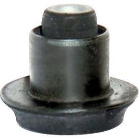 Lagerung, Achsträger AWS1006