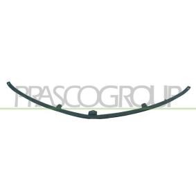 PRASCO DG4103202 Radiatorpanel CHRYSLER