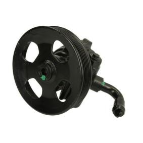 Achetez des Pompe de direction assistée LAUBER 55.0510 à prix pour 108,85&nbsp;&euro;