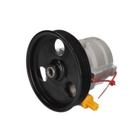 LAUBER 55.3105 Pompe de direction assistée DACIA