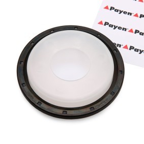 PAYEN NA5192 Poulie de pompe de direction assistée CITROËN JUMPY