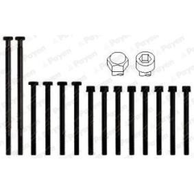 Zylinderkopfschraubensatz von PAYEN HBS010