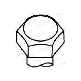 Zylinderkopfschrauben des Herstellers PAYEN - Originalware Artikelnummer: HBS050