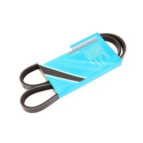 Keilrippenriemen 240995 MAZDA CX-3 von MAPCO