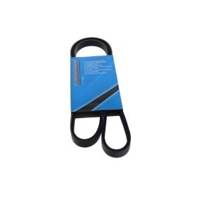 MAPCO 241190 Correia do alternador FORD Escort 5 (ANL)