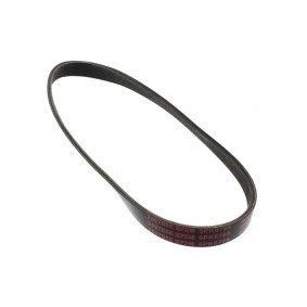 MAPCO 250705E Correia do alternador FORD C-MAX